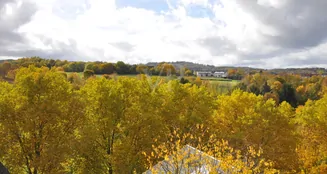 von_poll_real_estate_property_25192047_image_3