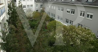 von_poll_real_estate_property_25192042_image_12