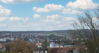 von_poll_real_estate_property_25192054_image_12