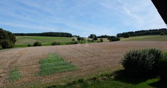 von_poll_real_estate_property_25192045_image_21