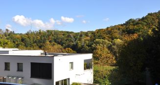 von_poll_real_estate_property_25192049_image_14