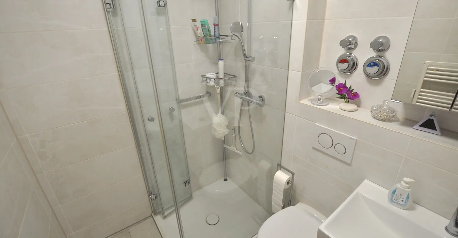 Top Modernisiertes Duschbad