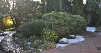 von_poll_real_estate_property_26192001_image_6