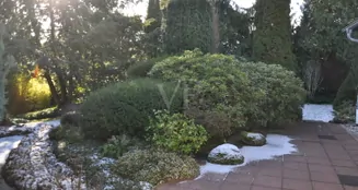 von_poll_real_estate_property_26192001_image_5