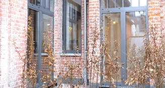 von_poll_real_estate_property_25192057_image_0