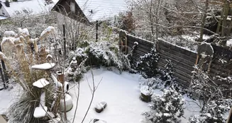 von_poll_real_estate_property_25192036_image_27