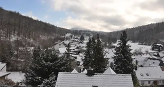 von_poll_real_estate_property_25192036_image_26