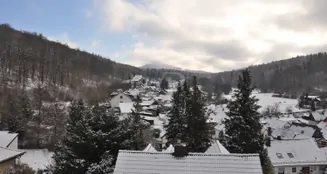 von_poll_real_estate_property_25192036_image_26