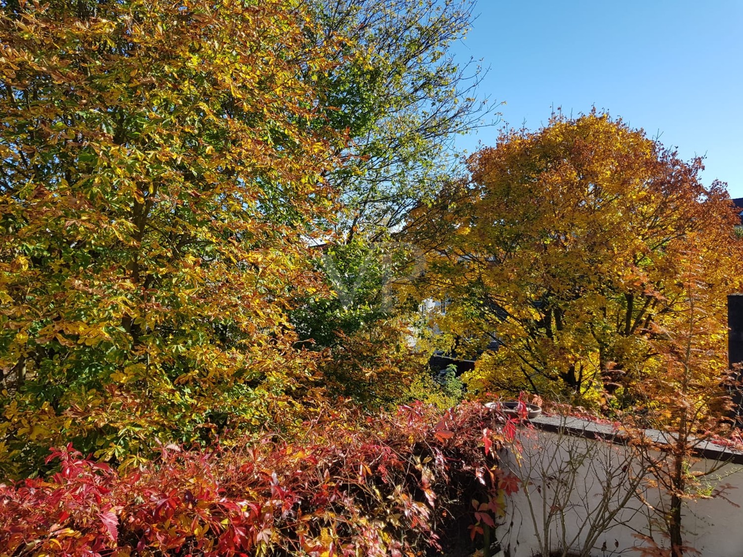 Blick Terrasse