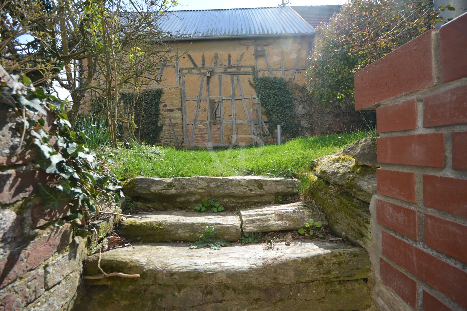 Gartendetail
