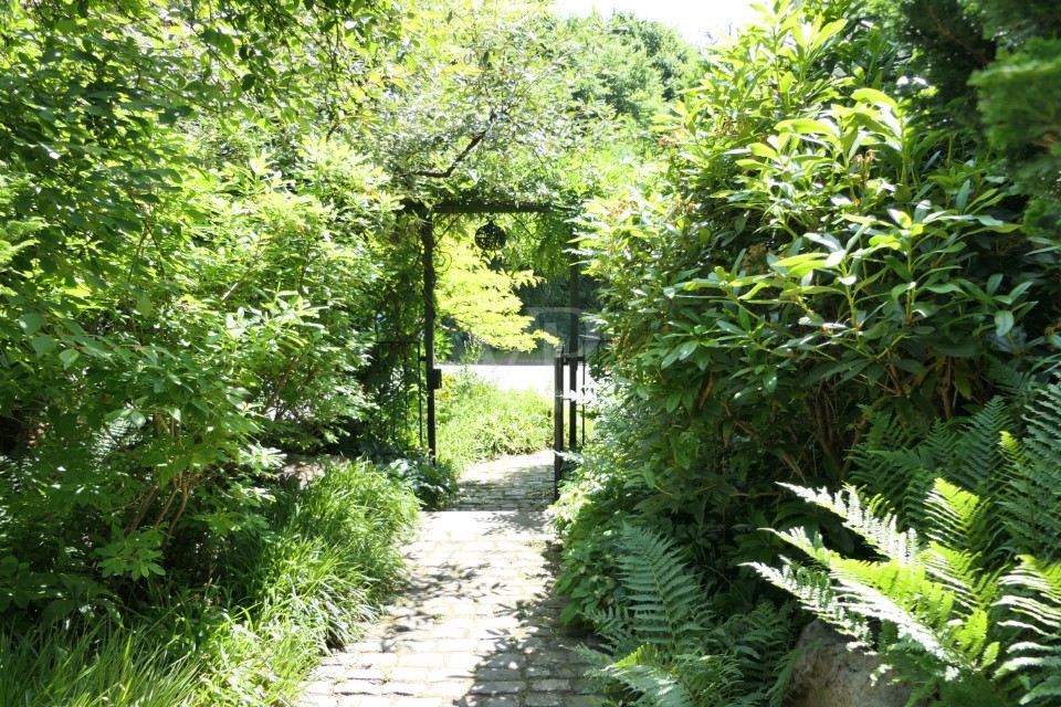 Eingang