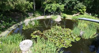 von_poll_real_estate_property_25192015_image_18
