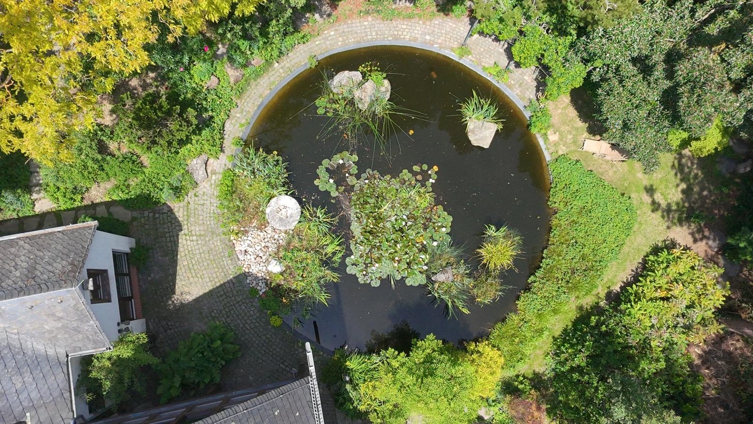Luftaufnahme Gartenteich