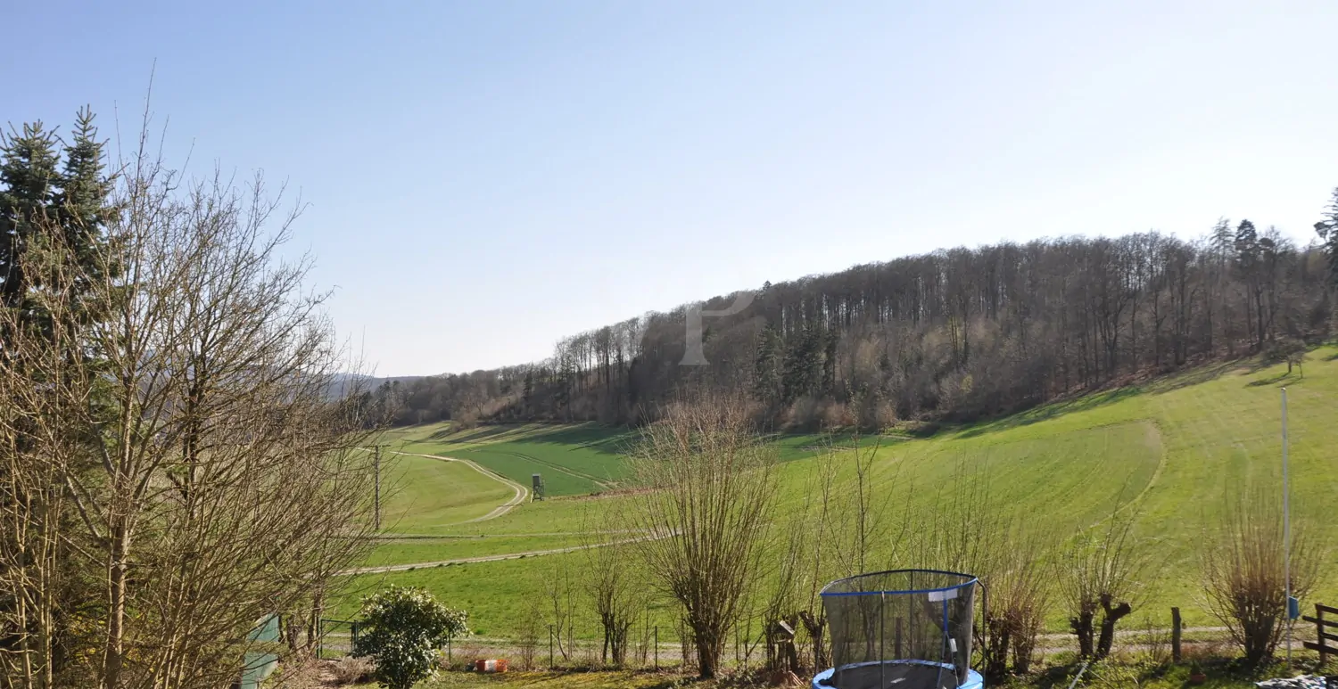 Traumhafter Weitblick