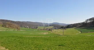 von_poll_real_estate_property_25192026_image_8