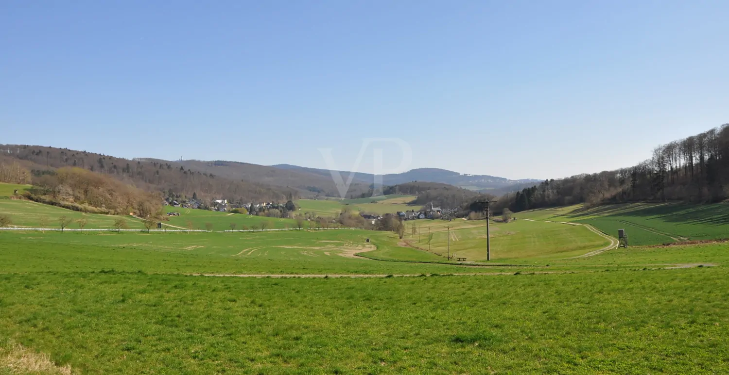 Richtung Reichenbach