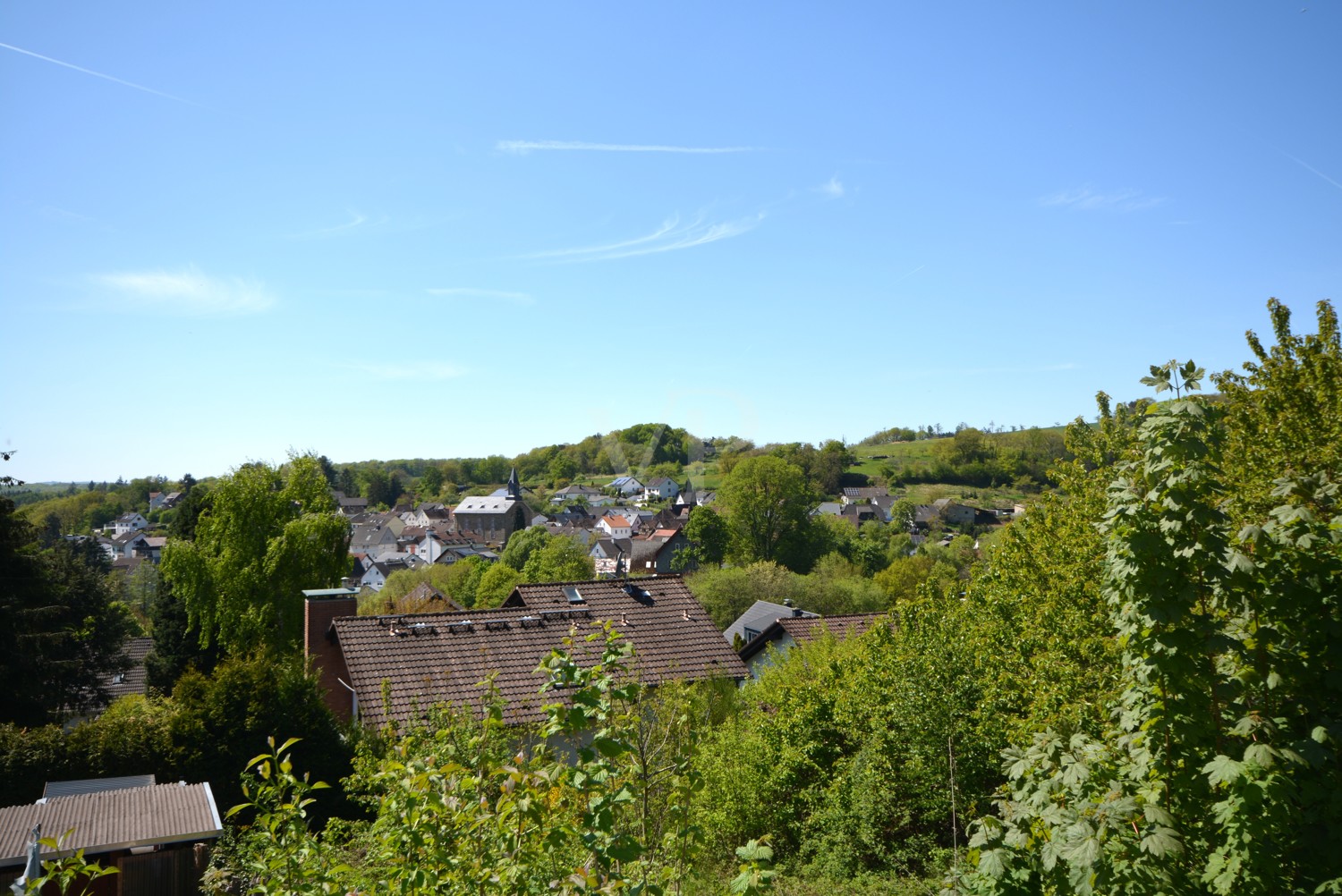 Die Seele baumeln lassen