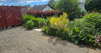 von_poll_real_estate_property_25192031_image_3