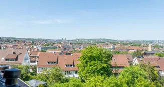 von_poll_real_estate_property_25081017_image_14