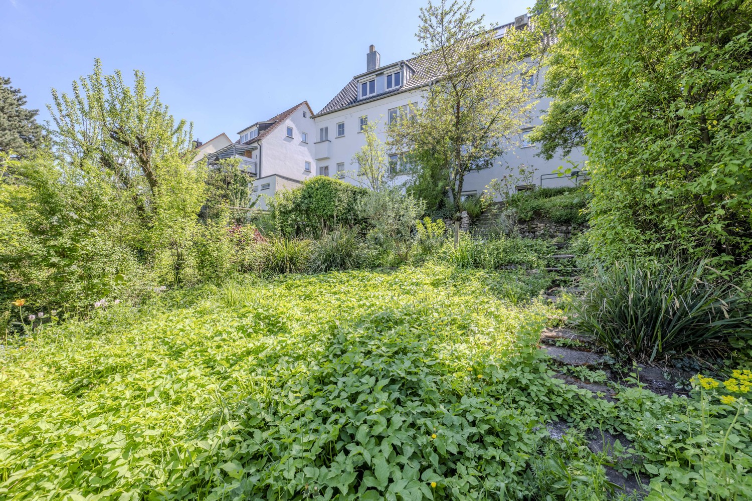 Bienenwiese mit Garten