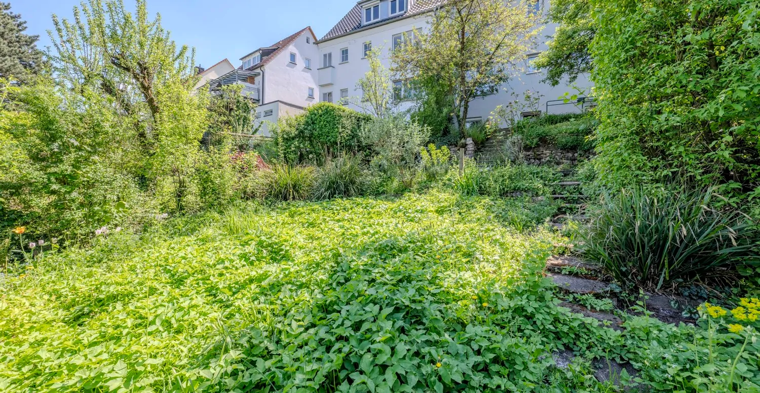 Bienenwiese mit Garten
