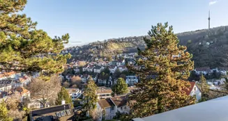 von_poll_real_estate_property_24081032_image_8