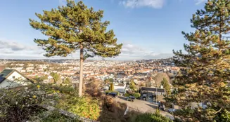 von_poll_real_estate_property_24081032_image_7