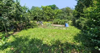 von_poll_real_estate_property_24081026_image_9