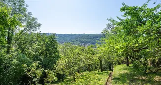 von_poll_real_estate_property_24081026_image_2