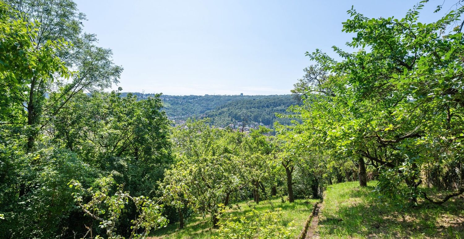 Obstgarten