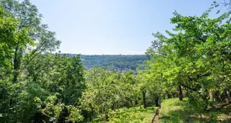 von_poll_real_estate_property_24081026_H_image_3