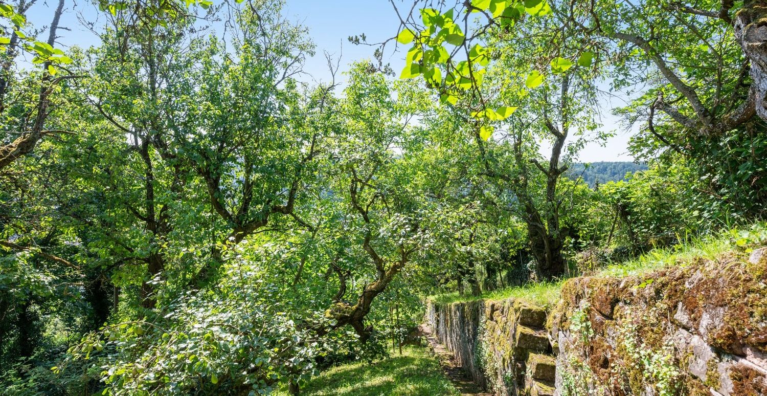 Natursteinmauern