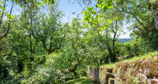 von_poll_real_estate_property_24081026_H_image_4