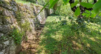 von_poll_real_estate_property_24081026_H_image_5