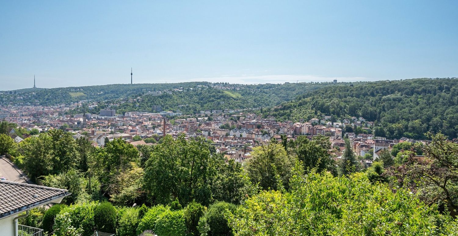 Fernblick