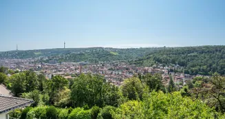 von_poll_real_estate_property_24081026_H_image_7