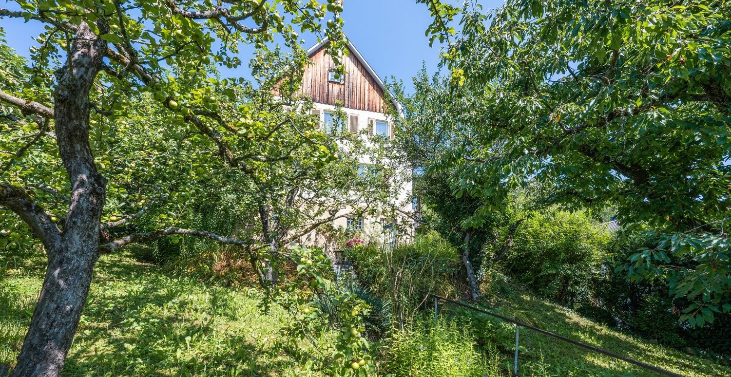 Vorgarten