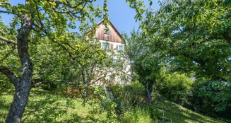 von_poll_real_estate_property_24081026_H_image_8