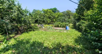 von_poll_real_estate_property_24081026_H_image_10