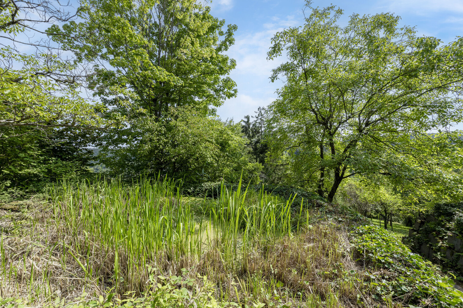 Gartenbereich