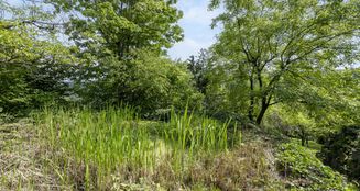 von_poll_real_estate_property_25081026_image_18