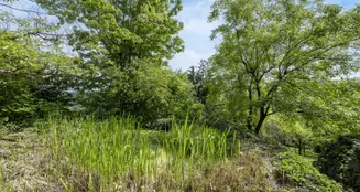 von_poll_real_estate_property_25081026_image_18