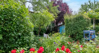 von_poll_real_estate_property_VQ707_image_22