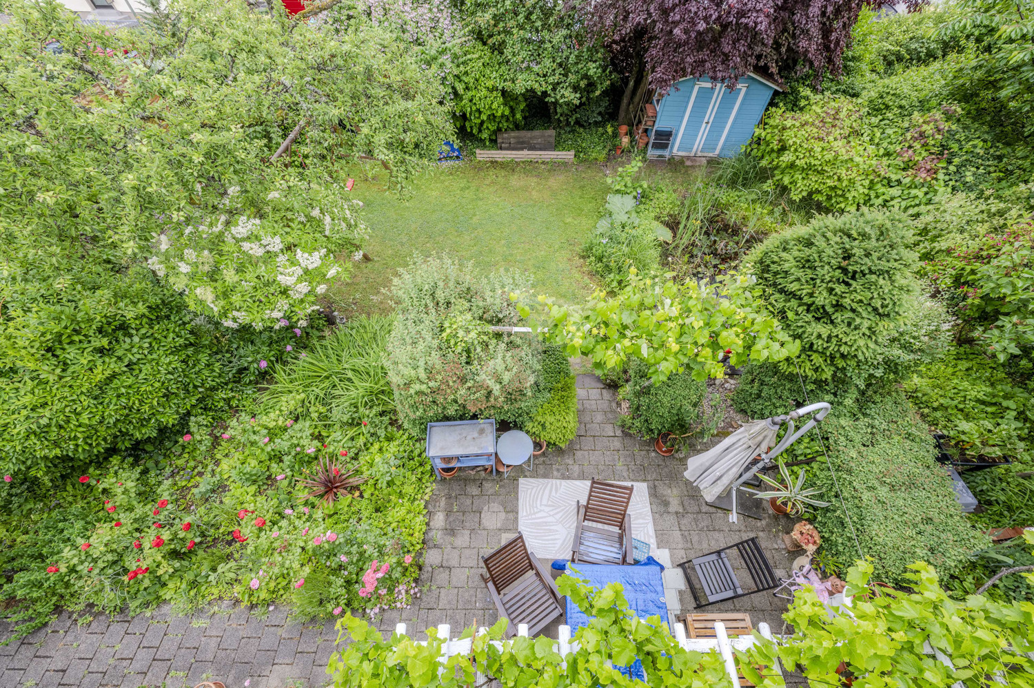 Garten / Terrasse