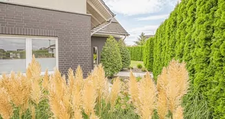 von_poll_real_estate_property_24196039_image_2