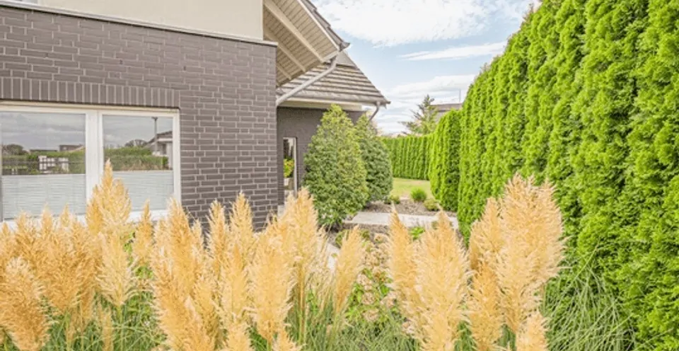 Außergewöhnliches Einfamilienhaus in Top-Lage