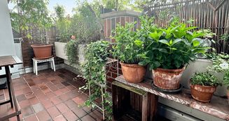 von_poll_real_estate_property_25196008_image_9