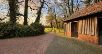 von_poll_real_estate_property_25196061_image_14