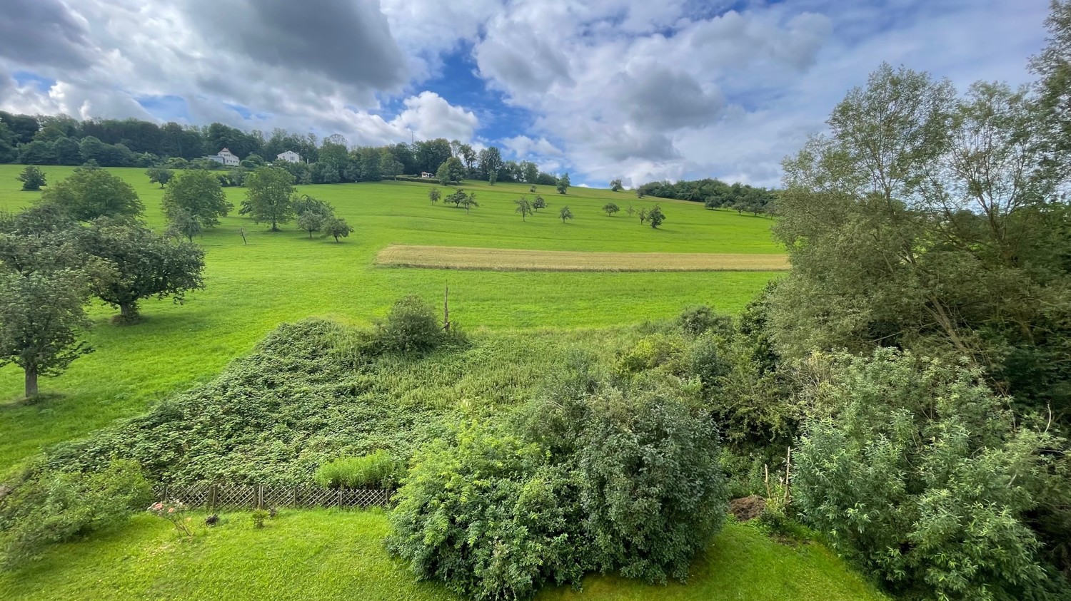 Aussicht vom Balkon