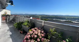 von_poll_real_estate_property_25120011_image_11